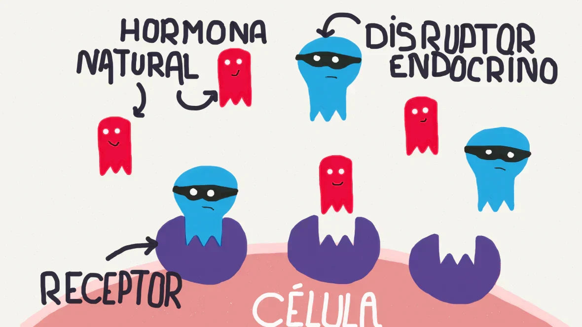 Cómo los disruptores endocrinos de tu champú afectan a tus hormonas